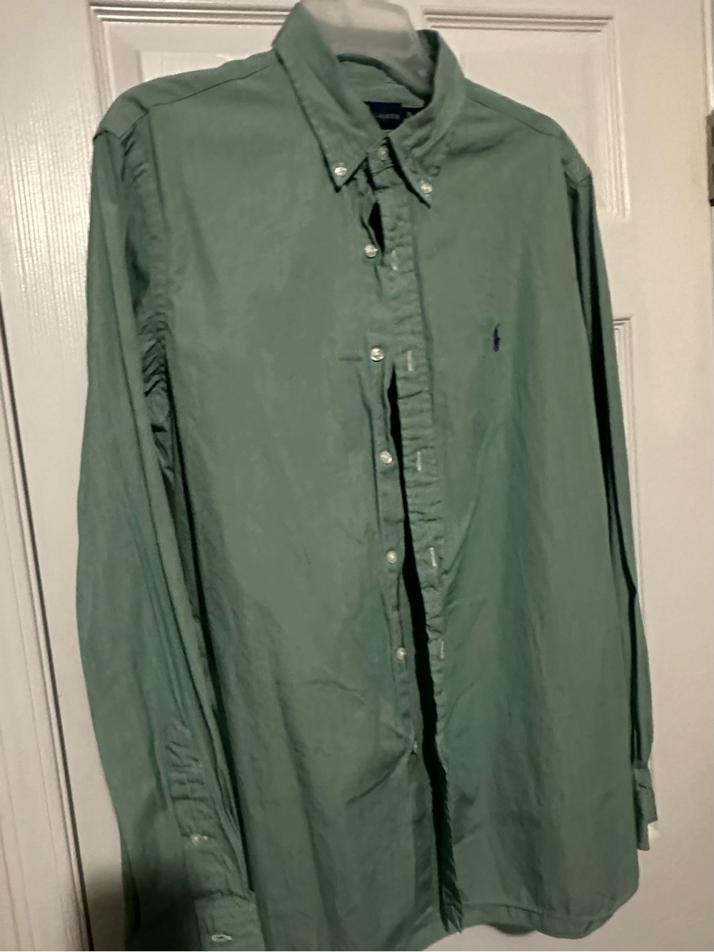 Polo by Ralph Lauren Mint Green Button-Down Dress Shirt